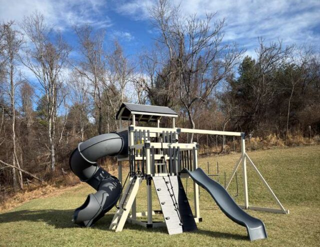 Perfect Swing Set This Year 
