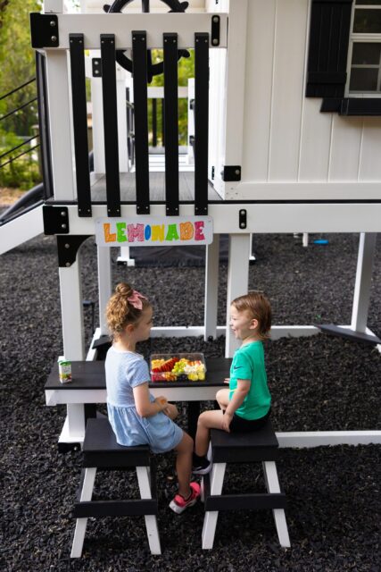 Best Vinyl Swing Sets 